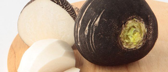 Black radish for treatment of cervical osteochondrosis