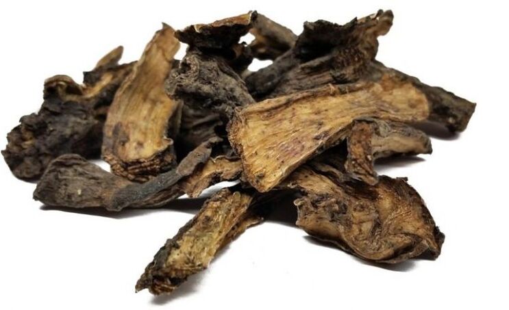 Skylark root in treatment of cervical osteochondrosis