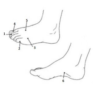 The point on the leg from headaches