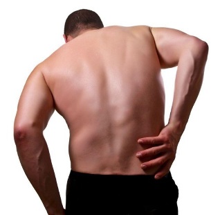 the disease back pain